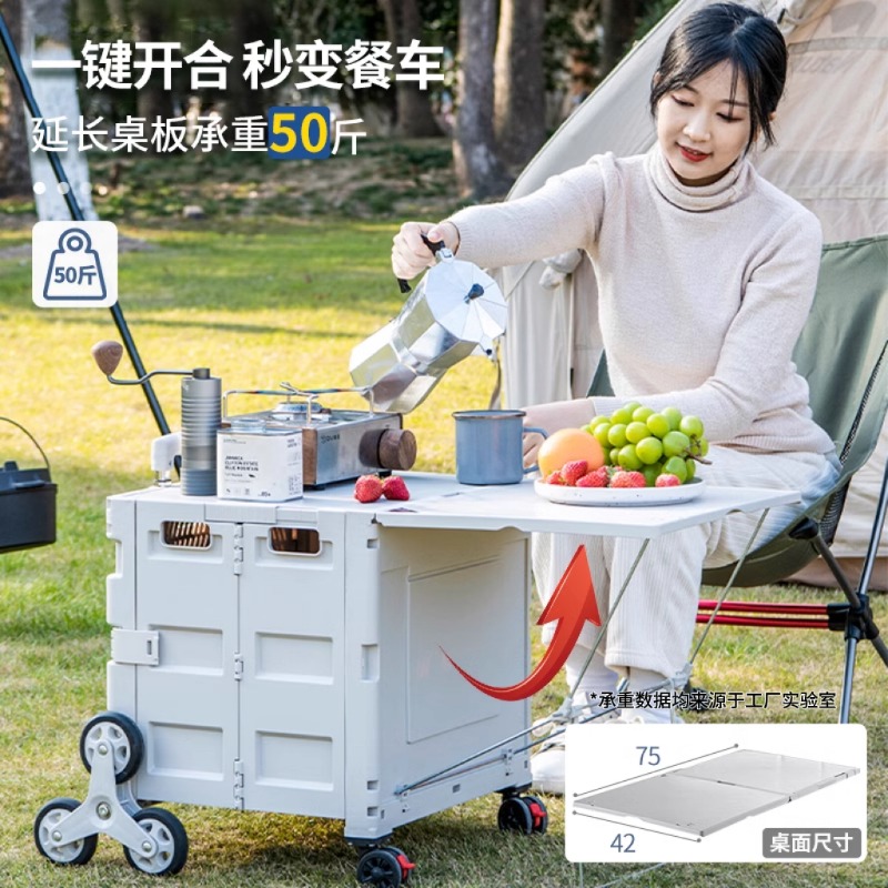 Shopping cart Small trolley Pi - Outdoor Lighting Expressions review and price