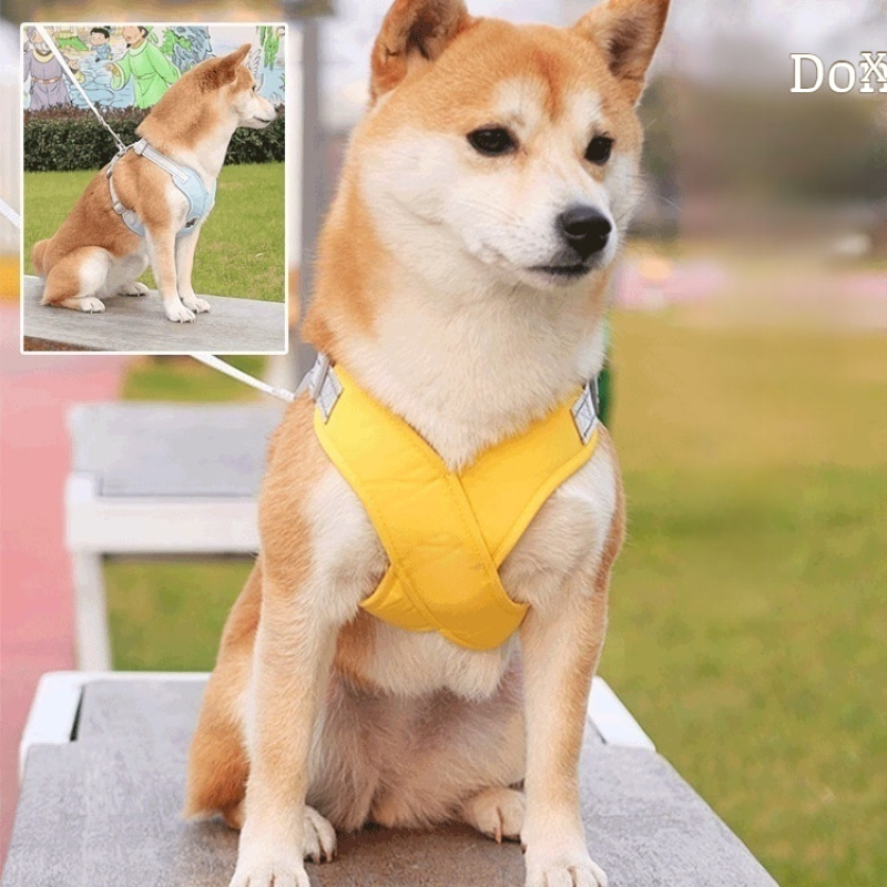 Reflective Dog Harness For Wal - Color Changing Outdoor review and price