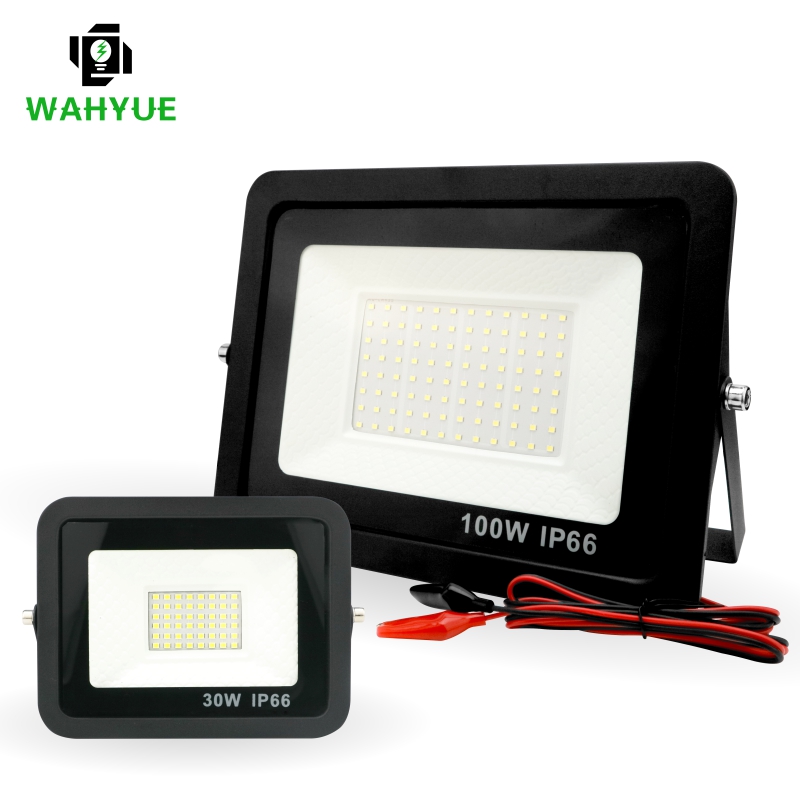 20W 30W 50W 100W DC12V Led Flo - Outdoor Lighting Volt review and price