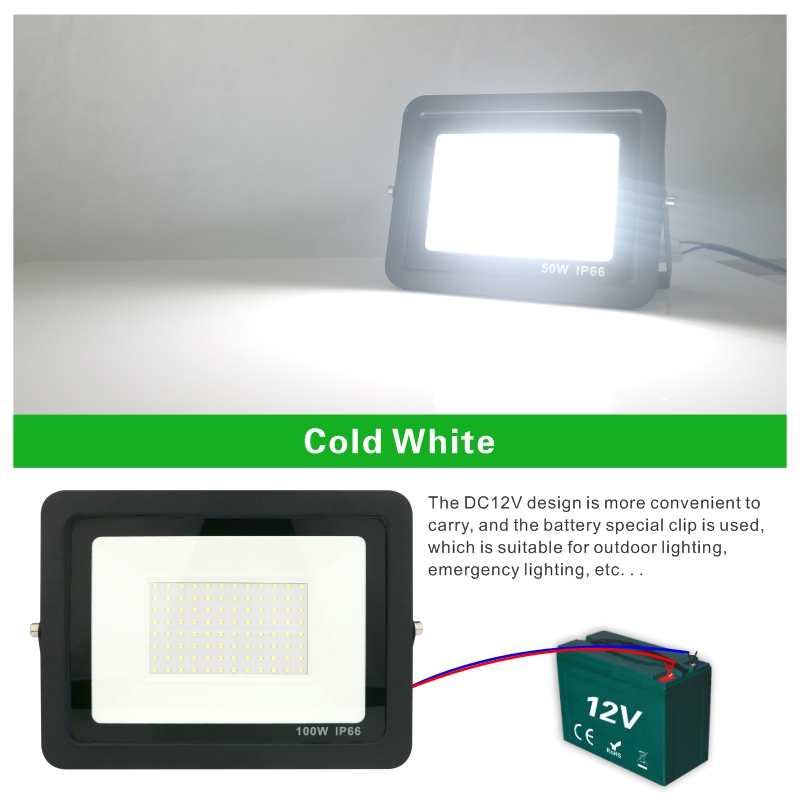 20W 30W 50W 100W DC12V Led Flo - Outdoor Lighting Volt review and price
